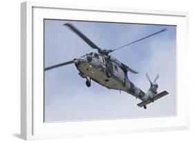 A U.S. Navy MH-60S Seahawk in Flight over Coronado, California-null-Framed Photographic Print