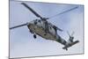 A U.S. Navy MH-60S Seahawk in Flight over Coronado, California-null-Mounted Photographic Print