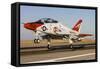 A U.S. Navy T-45 Goshawk Taking Off-null-Framed Stretched Canvas