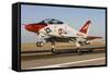 A U.S. Navy T-45 Goshawk Taking Off-null-Framed Stretched Canvas