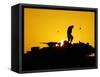 A U.S. Soldier Walks Atop His Armored Vehicle at Sunset-null-Framed Stretched Canvas