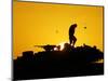 A U.S. Soldier Walks Atop His Armored Vehicle at Sunset-null-Mounted Photographic Print