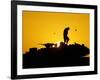 A U.S. Soldier Walks Atop His Armored Vehicle at Sunset-null-Framed Photographic Print