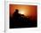 A U.S. Special Forces Soldier Armed with a Mk-12 Sniper Rifle at Sunset-Stocktrek Images-Framed Photographic Print