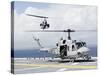 A UH-1N Huey And An AH-1W Super Cobra Land On Flight Deck of USS Essex-Stocktrek Images-Stretched Canvas