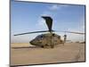 A UH-60 Black Hawk Helicopter at Camp Speicher, Iraq-null-Mounted Photographic Print