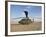 A UH-60 Black Hawk Helicopter at Camp Speicher, Iraq-null-Framed Photographic Print