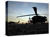 A UH-60 Black Hawk Helicopter on the Flight Line at Sunset-null-Stretched Canvas