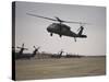 A UH-60 Black Hawk Taking Off for a Mission over Northern Iraq-null-Stretched Canvas