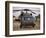 A UH-60L Black Hawk with Twin M240G Machine Guns at the Victory Base Complex in Baghdad, Iraq-null-Framed Photographic Print