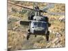 A UH-60L Yanshuf Helicopter of the Israeli Air Force-Stocktrek Images-Mounted Photographic Print