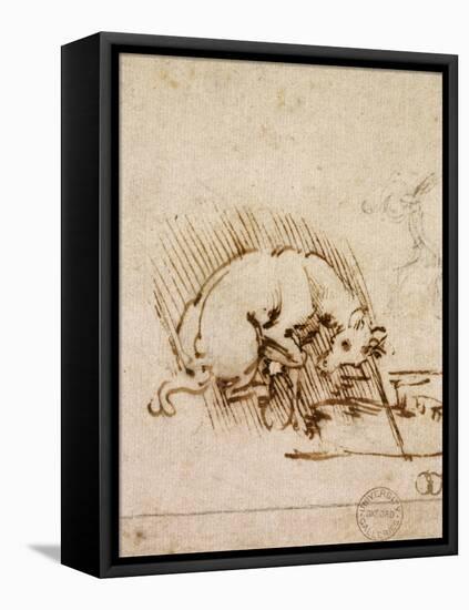 A Unicorn Dipping its Horn into a Pool of Water, C.1481-Leonardo da Vinci-Framed Stretched Canvas
