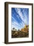 A Unique Rock Formation Near Ryan Campground in Joshua Tree National Park, California at Sunset-Ben Herndon-Framed Photographic Print