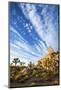 A Unique Rock Formation Near Ryan Campground in Joshua Tree National Park, California at Sunset-Ben Herndon-Mounted Photographic Print