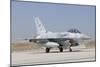 A United Arab Emirates Air Force F-16E Block 60 at Konya Air Base-Stocktrek Images-Mounted Photographic Print
