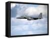 A United States Air Force F-15 Strike Eagle in Flight-Stocktrek Images-Framed Stretched Canvas