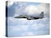 A United States Air Force F-15 Strike Eagle in Flight-Stocktrek Images-Stretched Canvas