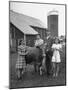 A Unrra Cow for Italy-null-Mounted Photographic Print