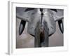 A US Air Force F-22 Raptor Is Refueled by a Kc-10A Extender-null-Framed Photographic Print