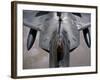 A US Air Force F-22 Raptor Is Refueled by a Kc-10A Extender-null-Framed Photographic Print