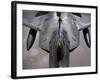 A US Air Force F-22 Raptor Is Refueled by a Kc-10A Extender-null-Framed Photographic Print