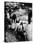 A Us Federal Agent Oversees the Destruction of Beer Kegs During the American Prohibition Era…-American Photographer-Stretched Canvas