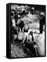 A Us Federal Agent Oversees the Destruction of Beer Kegs During the American Prohibition Era…-American Photographer-Framed Stretched Canvas