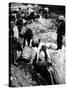 A Us Federal Agent Oversees the Destruction of Beer Kegs During the American Prohibition Era…-American Photographer-Stretched Canvas