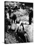 A Us Federal Agent Oversees the Destruction of Beer Kegs During the American Prohibition Era…-American Photographer-Stretched Canvas