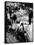 A Us Federal Agent Oversees the Destruction of Beer Kegs During the American Prohibition Era…-American Photographer-Framed Stretched Canvas