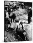 A Us Federal Agent Oversees the Destruction of Beer Kegs During the American Prohibition Era…-American Photographer-Stretched Canvas