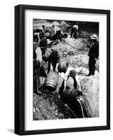 A Us Federal Agent Oversees the Destruction of Beer Kegs During the American Prohibition Era…-American Photographer-Framed Photographic Print