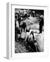 A Us Federal Agent Oversees the Destruction of Beer Kegs During the American Prohibition Era…-American Photographer-Framed Photographic Print