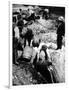 A Us Federal Agent Oversees the Destruction of Beer Kegs During the American Prohibition Era…-American Photographer-Framed Photographic Print