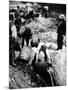 A Us Federal Agent Oversees the Destruction of Beer Kegs During the American Prohibition Era…-American Photographer-Mounted Photographic Print