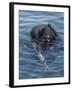 A US Navy Seal Combat Swimmer-null-Framed Photographic Print