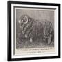 A Valuable Merino Ram-null-Framed Giclee Print