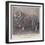 A Valuable Merino Ram-null-Framed Giclee Print