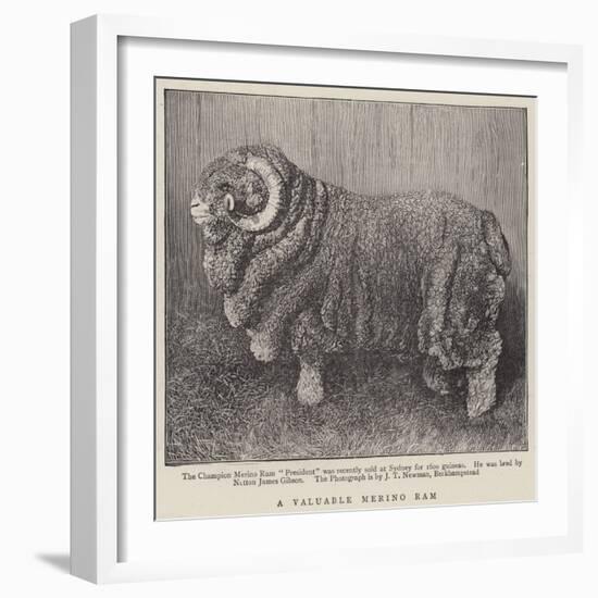 A Valuable Merino Ram-null-Framed Giclee Print