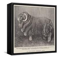A Valuable Merino Ram-null-Framed Stretched Canvas