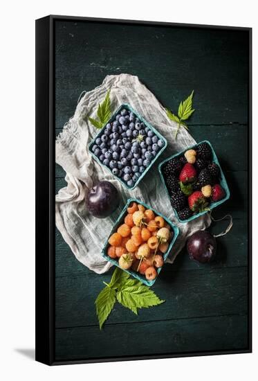 A Variety of Fresh Berries-Evangelia Kosmas-Framed Stretched Canvas