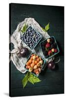 A Variety of Fresh Berries-Evangelia Kosmas-Stretched Canvas