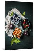 A Variety of Fresh Berries-Evangelia Kosmas-Mounted Photographic Print