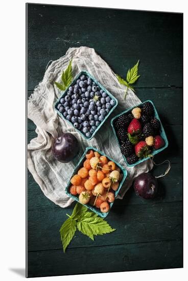 A Variety of Fresh Berries-Evangelia Kosmas-Mounted Photographic Print