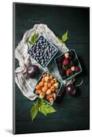 A Variety of Fresh Berries-Evangelia Kosmas-Mounted Photographic Print