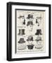 A Variety of Men's Hats-null-Framed Photographic Print