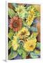 A Variety of Sunflowers-Joanne Porter-Framed Giclee Print