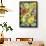 A Variety of Sunflowers-Joanne Porter-Framed Giclee Print displayed on a wall