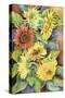 A Variety of Sunflowers-Joanne Porter-Stretched Canvas