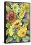 A Variety of Sunflowers-Joanne Porter-Framed Stretched Canvas
